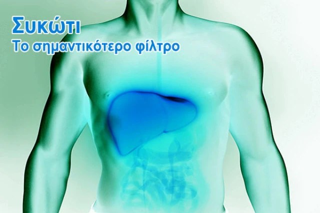 Συκώτι – Το σημαντικότερο ‘’φίλτρο’’